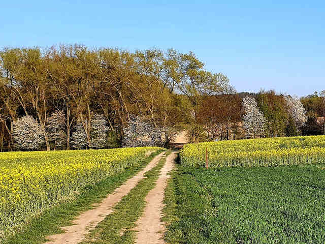 Gravelová cesta mezi poli jako inspirace pro cyklotrasy Veloklasik